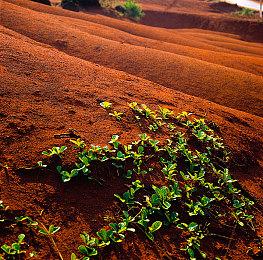 《英灵神殿》新内容发售后人气回升 在线玩家数逼近10万